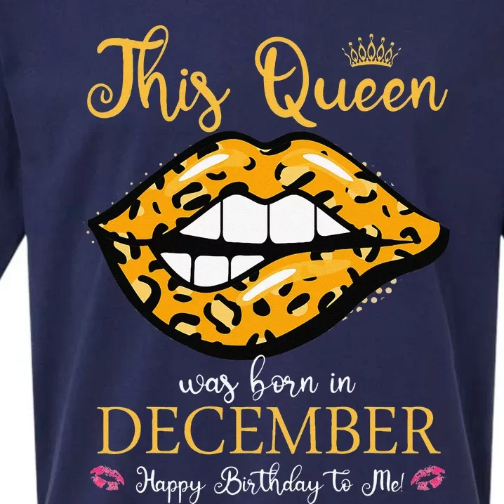 Leopard This Queen Was Born In December Happy Birthday To Me Sueded Cloud Jersey T-Shirt