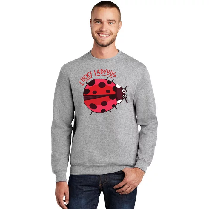 Lucky Ladybug Sweatshirt