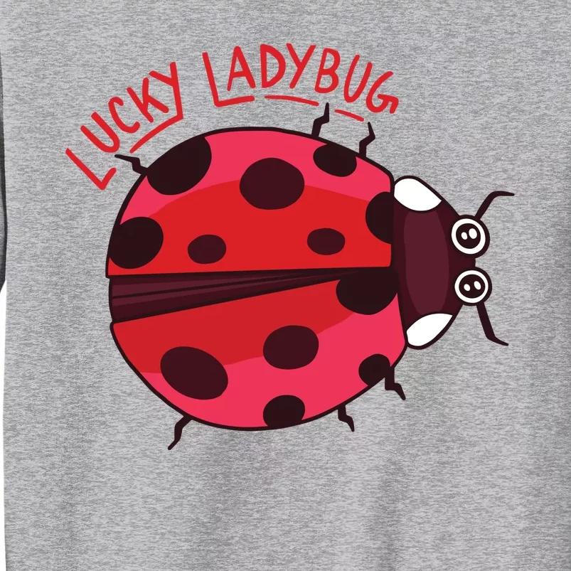 Lucky Ladybug Sweatshirt