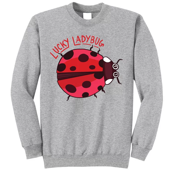 Lucky Ladybug Sweatshirt