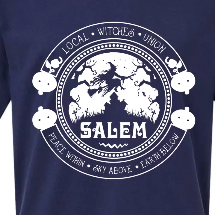 Local Witches Union Salem Witch Halloween Cool Gift Sueded Cloud Jersey T-Shirt