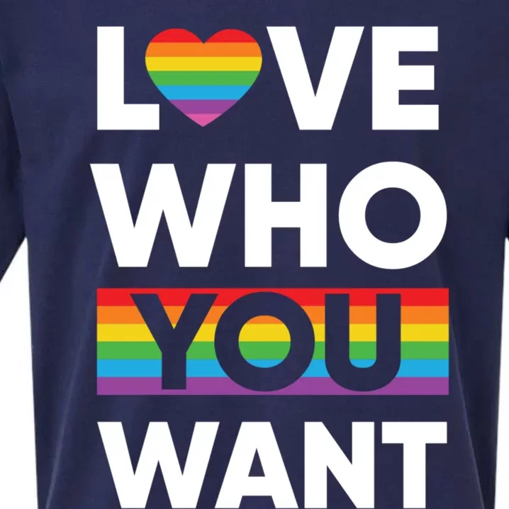 Love Who You Want Lgbt Pride Gift Sueded Cloud Jersey T-Shirt