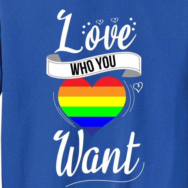 Love Who You Want Acceptance Ally Flag Love Proud Pansexual Gift Sweatshirt