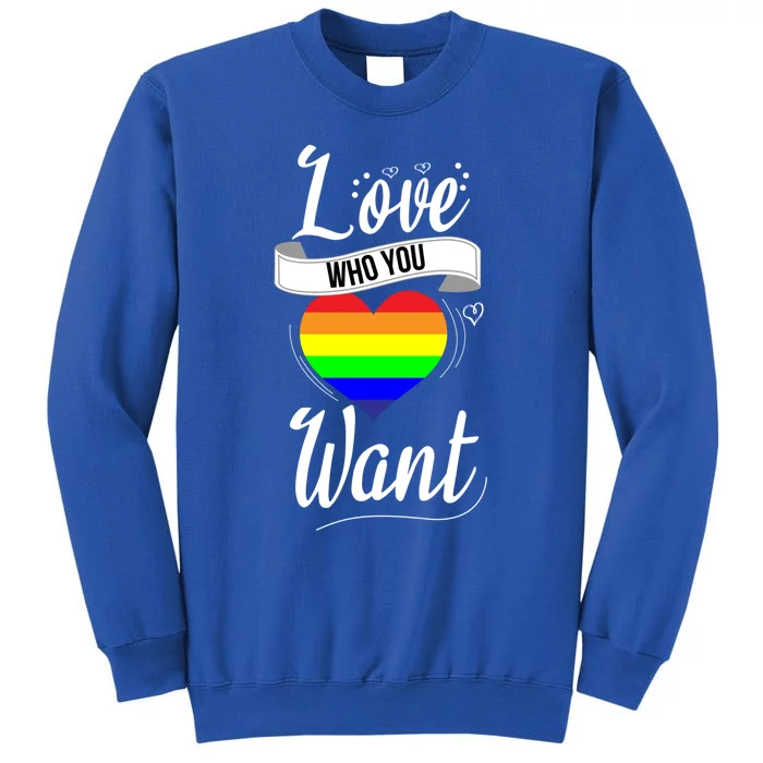 Love Who You Want Acceptance Ally Flag Love Proud Pansexual Gift Sweatshirt