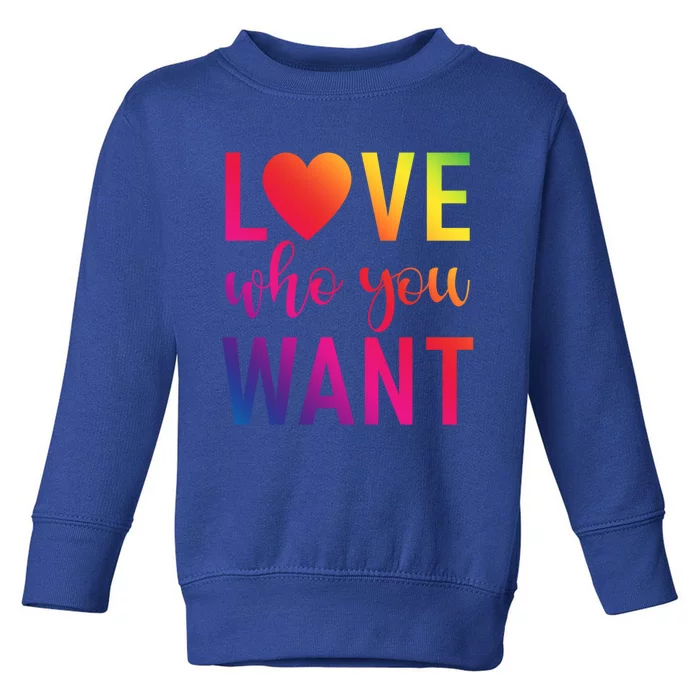 Love Who You Want Bisexual Lesbian Gay Pride Gift Toddler Sweatshirt