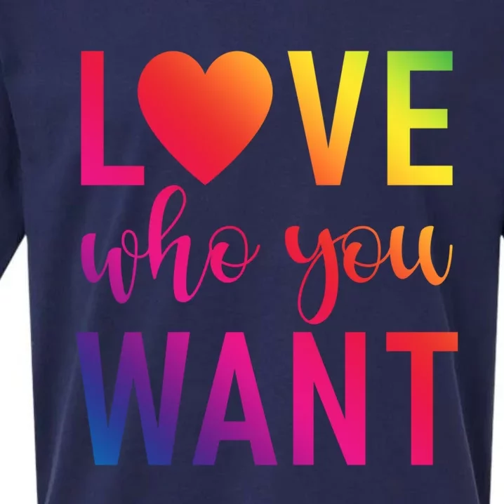 Love Who You Want Bisexual Lesbian Gay Pride Gift Sueded Cloud Jersey T-Shirt