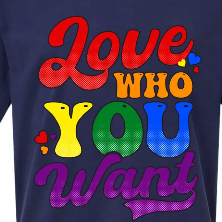 Love Who You Want Design Pro Lgbtq Pride Gift Sueded Cloud Jersey T-Shirt