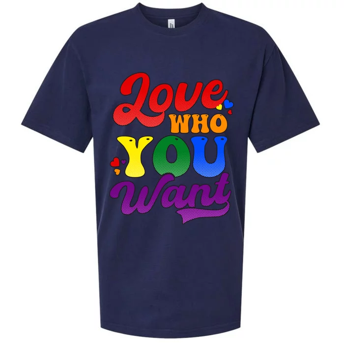 Love Who You Want Design Pro Lgbtq Pride Gift Sueded Cloud Jersey T-Shirt