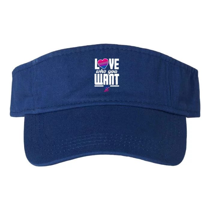 Love Who You Want Funny Bi Pride Flag Bisexual Gift Valucap Bio-Washed Visor