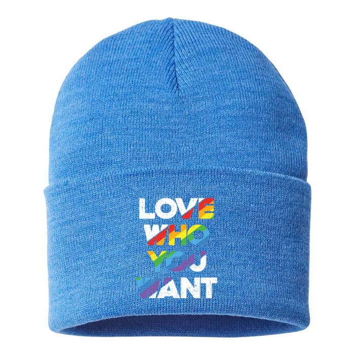 Love Who You Want Rainbow Lgbtq Gay Rights Equality Gift Sustainable Knit Beanie