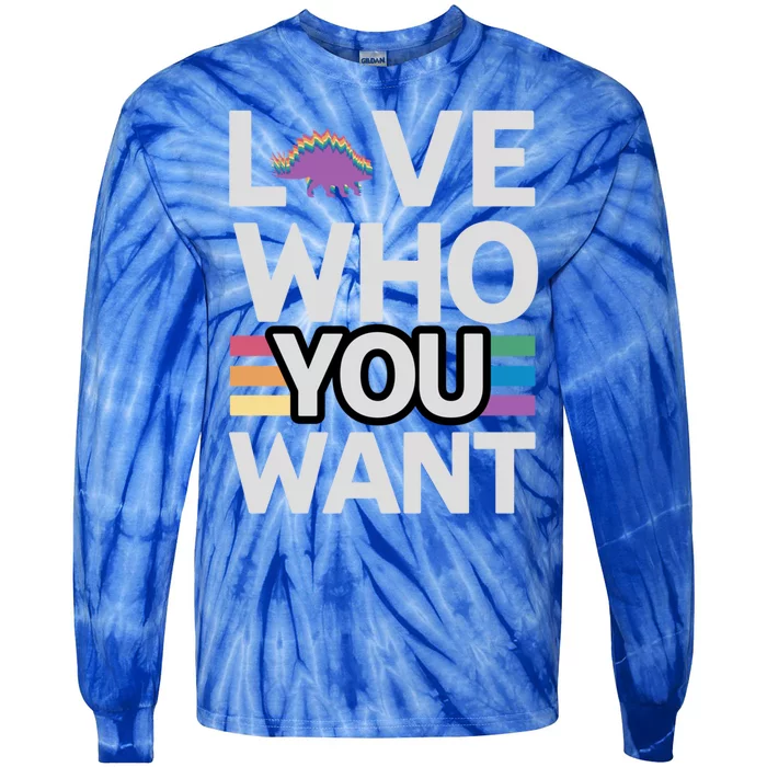 Love Who You Want Stegosaurus Lgbtq Dinosaur Lover Funny Gift Tie-Dye Long Sleeve Shirt