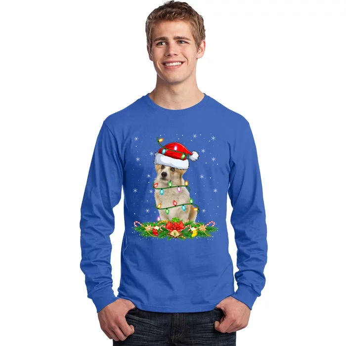 Lighting Xmas Santa Welsh Corgi Dog Christmas Gift Tall Long Sleeve T-Shirt