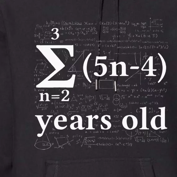 Math 17 Birthday Boy 17 Yr 17 Year 17th Birthday Premium Hoodie