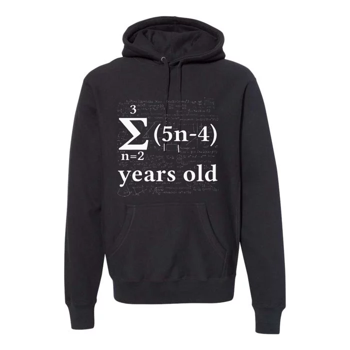 Math 17 Birthday Boy 17 Yr 17 Year 17th Birthday Premium Hoodie