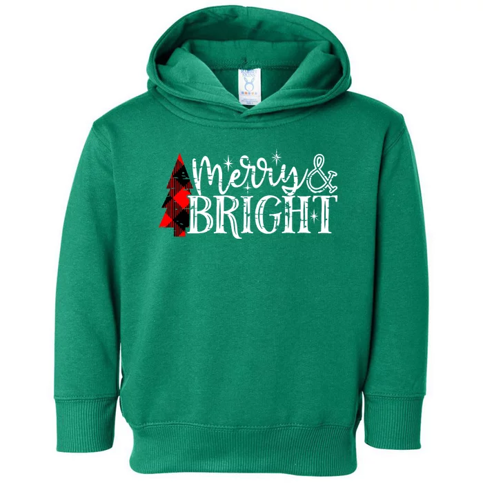 Merry And Bright Cute Christmas Gift Toddler Hoodie