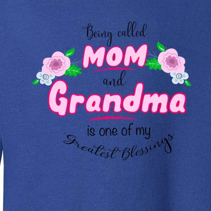 Mom And Grandma Blessinggift Family Quotegift Announcet Meaningful Gift Toddler Sweatshirt