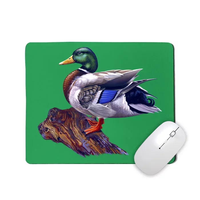 Mallard Green Head Duck Mousepad