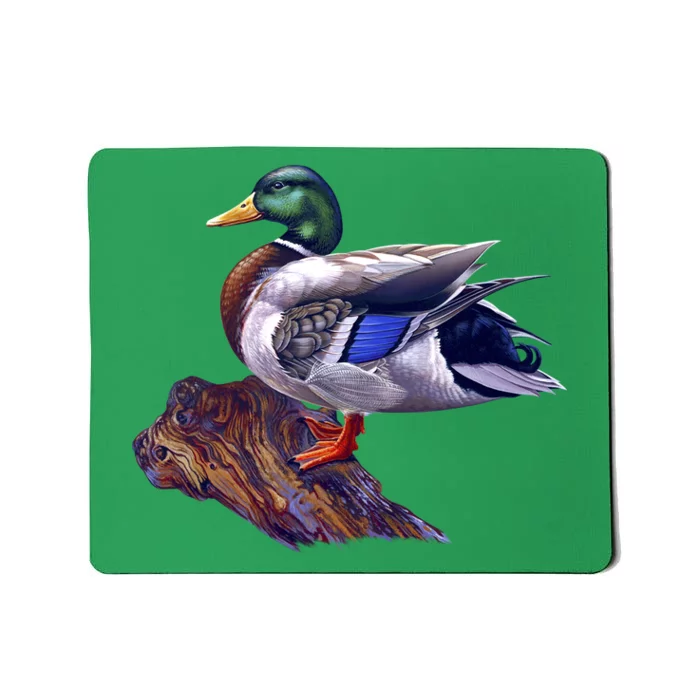 Mallard Green Head Duck Mousepad