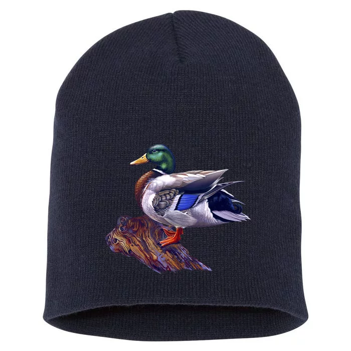 Mallard Green Head Duck Short Acrylic Beanie