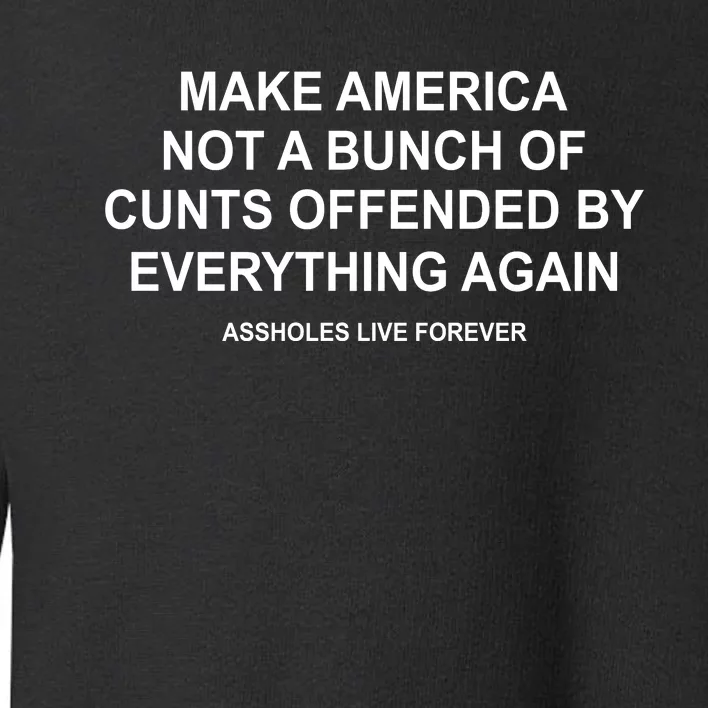 Make America Not A Bunch Of Cunts Offended By Everything Again Toddler Sweatshirt