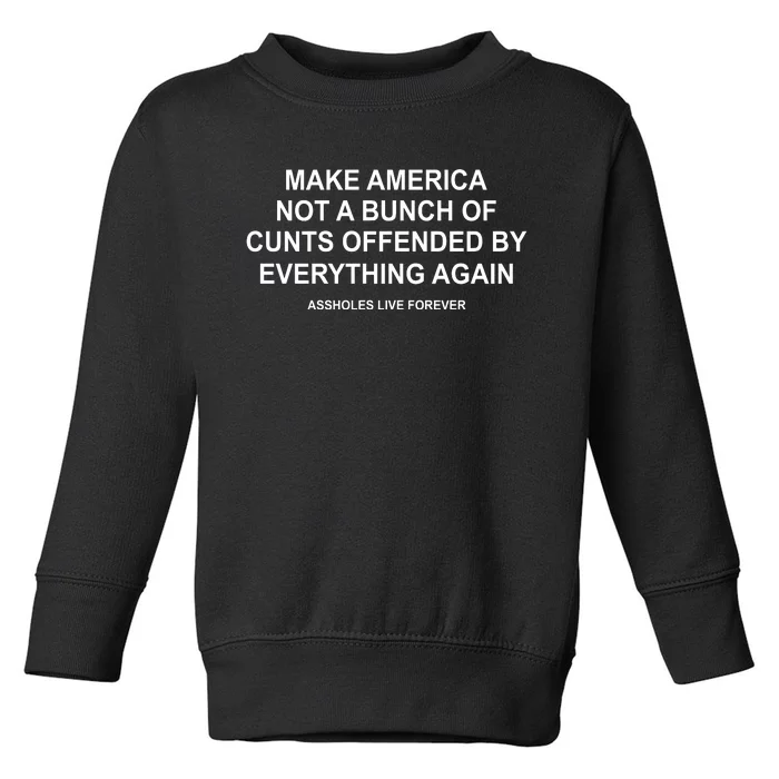 Make America Not A Bunch Of Cunts Offended By Everything Again Toddler Sweatshirt