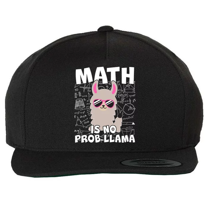 Math Is No Prob-llama Wool Snapback Cap