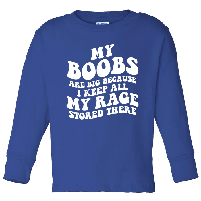 My Boobs Are Big Because I Keep All My Rage Stored There Cute Gift Toddler Long Sleeve Shirt