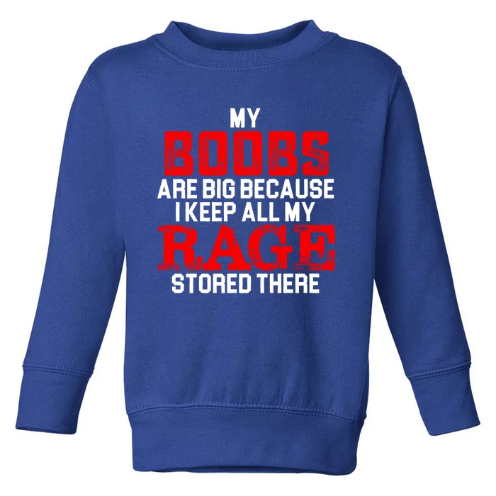 My Boobs Are Big Because I Keep All My Rage Stored There Cool Gift Toddler Sweatshirt