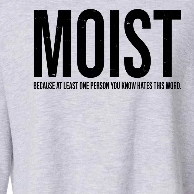 MOIST Because At Least One Person You Know Hates This Word Cropped Pullover Crew