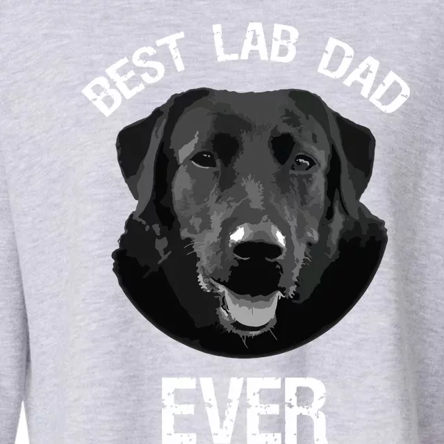 Mes Best Black Labrador Retriever Dad Ever Lab Dog Lover Daddy Cropped Pullover Crew