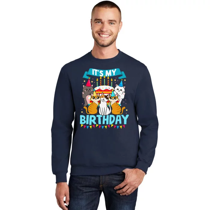 My Birthday Cat And Kitten Party Day Girl's And Boy's Tall Sweatshirt