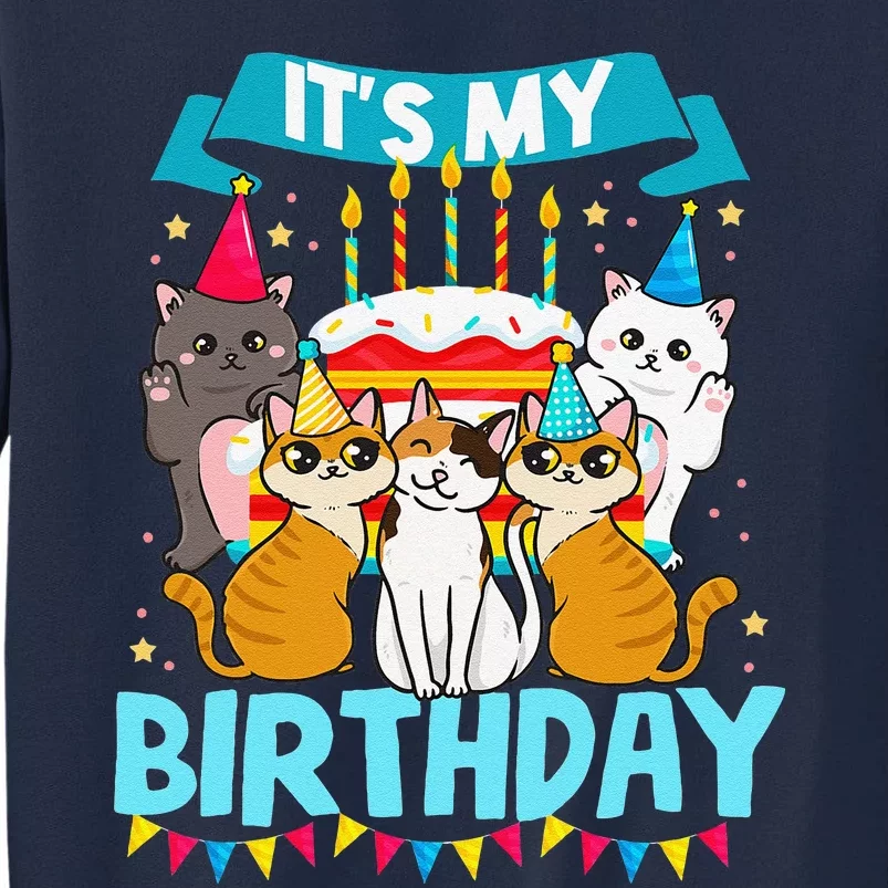 My Birthday Cat And Kitten Party Day Girl's And Boy's Tall Sweatshirt