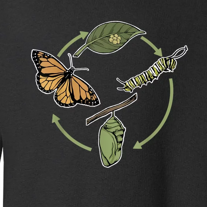 Monarch Butterfly Evolution Cute Butterfly Toddler Sweatshirt