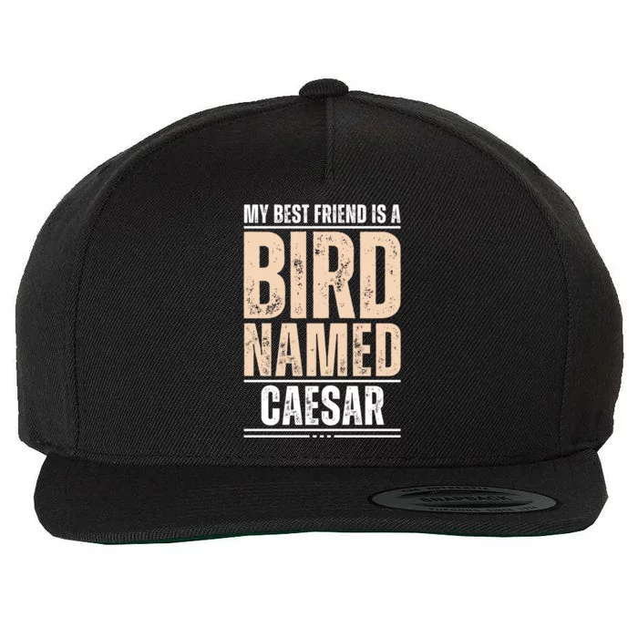 My Best Friend Is A Bird Named Caesar Cool Gift Wool Snapback Cap