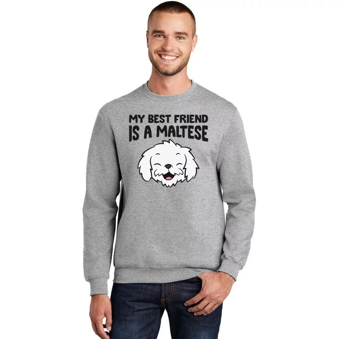 My Best Friend Is A Maltese Dog Tall Sweatshirt