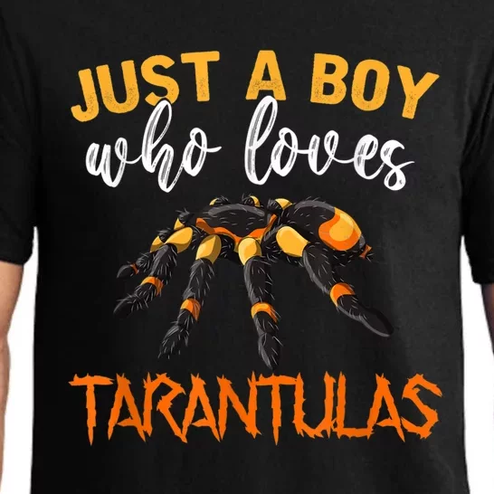 Men Boys Kids Just A Boy Who Loves Tarantulas Spider Pajama Set