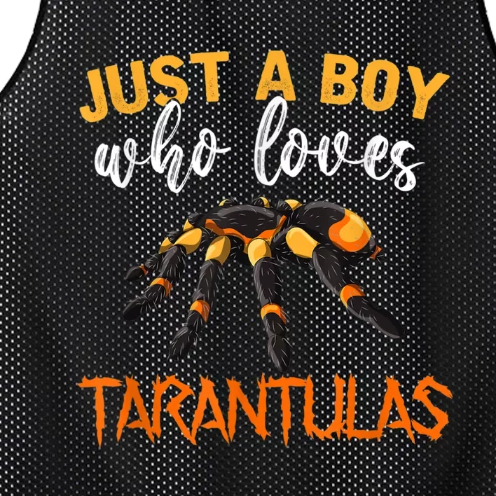 Men Boys Kids Just A Boy Who Loves Tarantulas Spider Mesh Reversible Basketball Jersey Tank