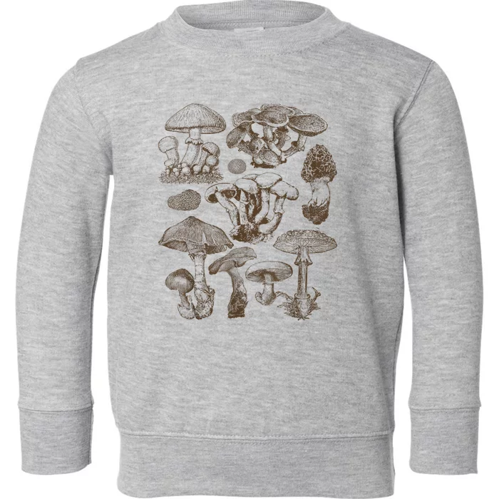 Mushroom Botanical Toddler Sweatshirt