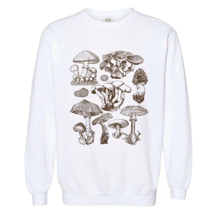 Mushroom Botanical Garment-Dyed Sweatshirt