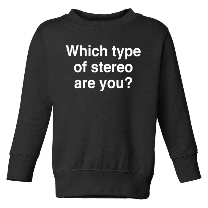 Metro Boomin Which Type Of Stereo Are You Toddler Sweatshirt