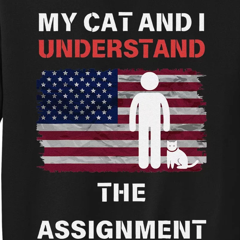 My Cat And I Understand The Assignment Usa Flag Sweatshirt