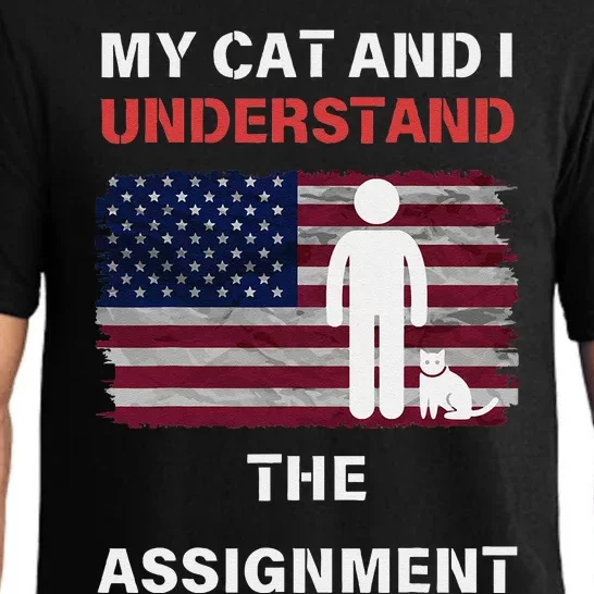 My Cat And I Understand The Assignment Usa Flag Pajama Set