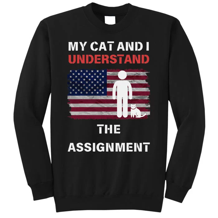 My Cat And I Understand The Assignment Usa Flag Tall Sweatshirt