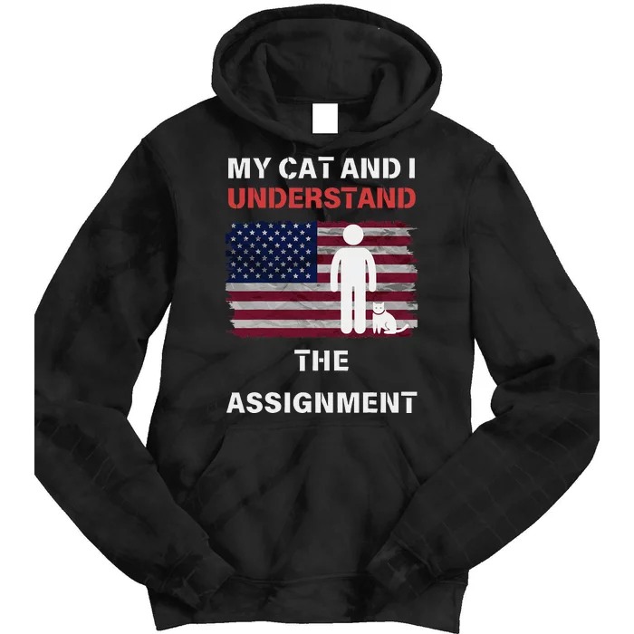 My Cat And I Understand The Assignment Usa Flag Tie Dye Hoodie