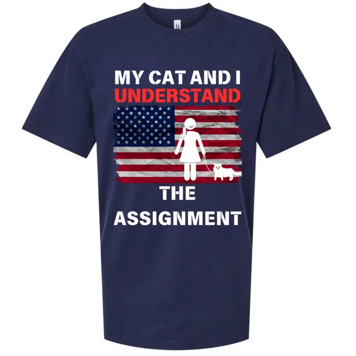 My Cat And I Understand The Assignment Usa Flag Sueded Cloud Jersey T-Shirt