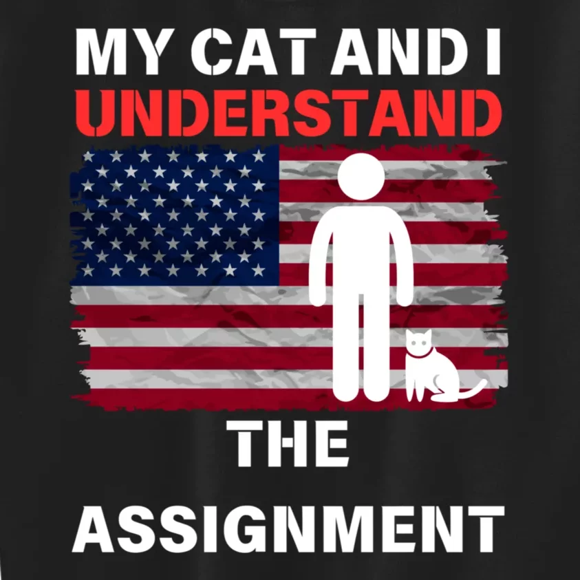 My Cat And I Understand The Assignment Usa Flag Kids Sweatshirt