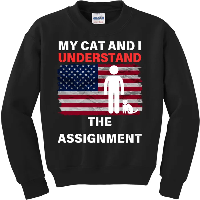 My Cat And I Understand The Assignment Usa Flag Kids Sweatshirt