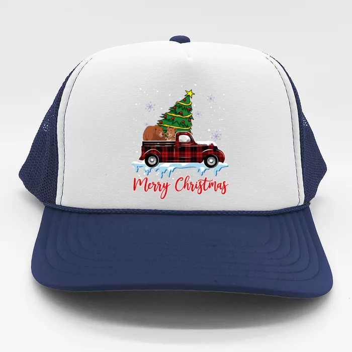 Merry Christmas Bear Xmas Plaid Red Truck Tree On Car Gift Trucker Hat