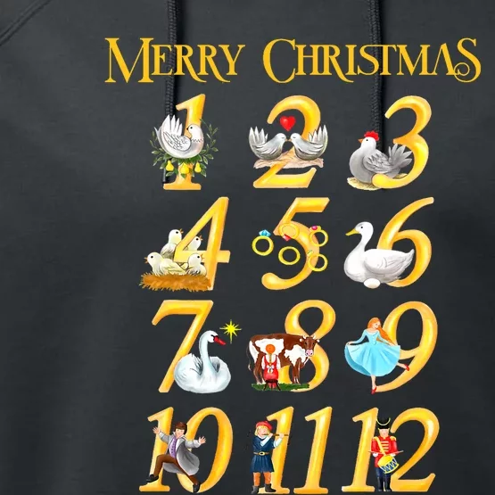 Merry Christmas Carol 12 Days Gift Performance Fleece Hoodie