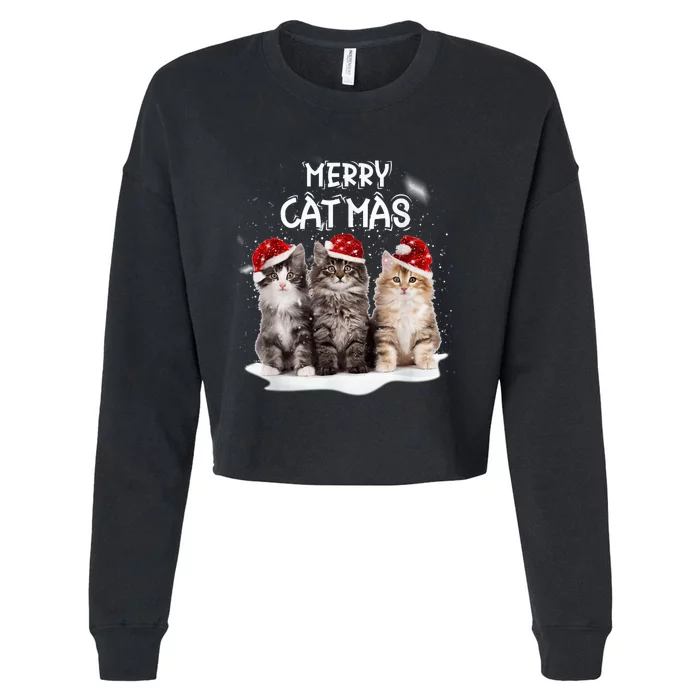 Merry Catmas Christmas Tree Santa Kitten Xmas Cute Cat Mom Cropped Pullover Crew